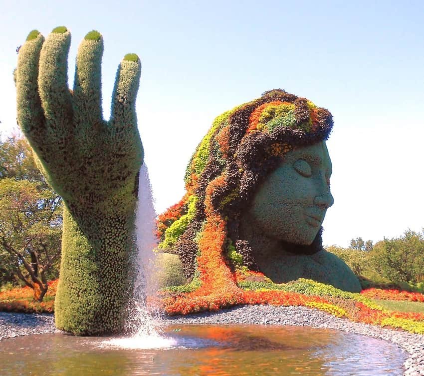 Plant Sculpture in Montreal Botanical Garden