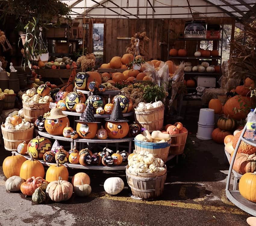 marché atwater montreal